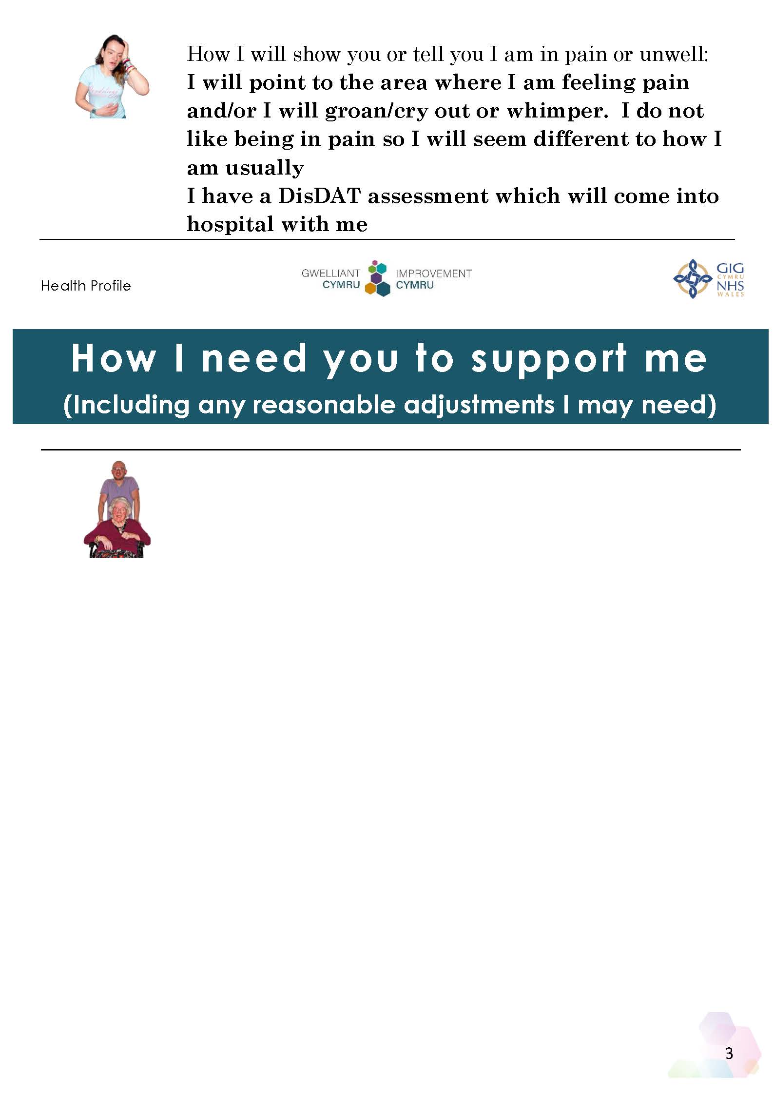 Health Profile Example_Page_3